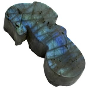 Sea horse 1 5
