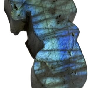 Sea horse 1 9