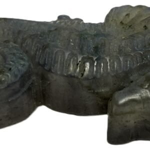 Sea horse 1 4
