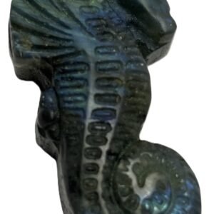 Labradorite sea horse 2 1