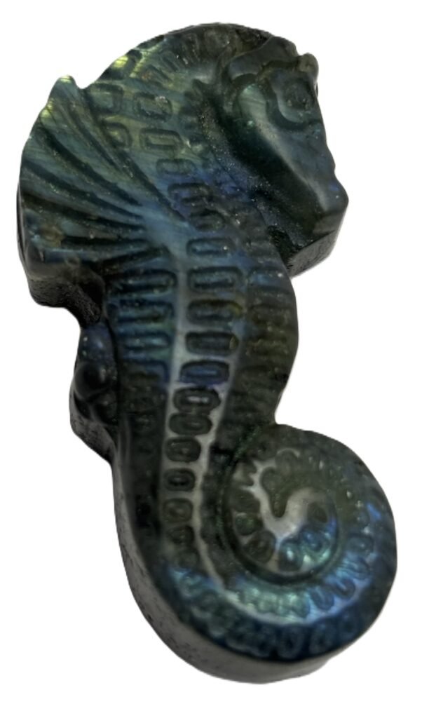 Labradorite sea horse 2 1 sians emporium Labradorite sea horse 2 1