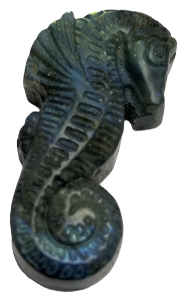 Labradorite sea horse 2 2 sians emporium Labradorite sea horse 2 2