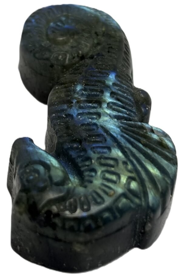 Labradorite sea horse 2 4 sians emporium Labradorite sea horse 2 4