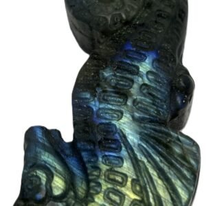 Labradorite sea horse 2 5