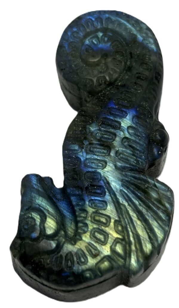 Labradorite sea horse 2 5 sians emporium Labradorite sea horse 2 5