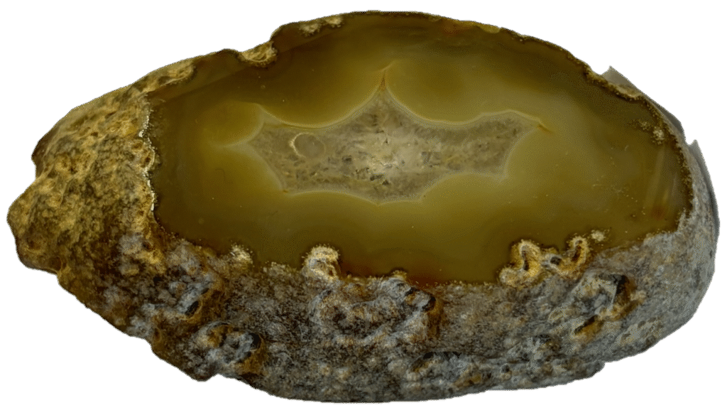 Brown agate slice sians emporium Brown agate slice