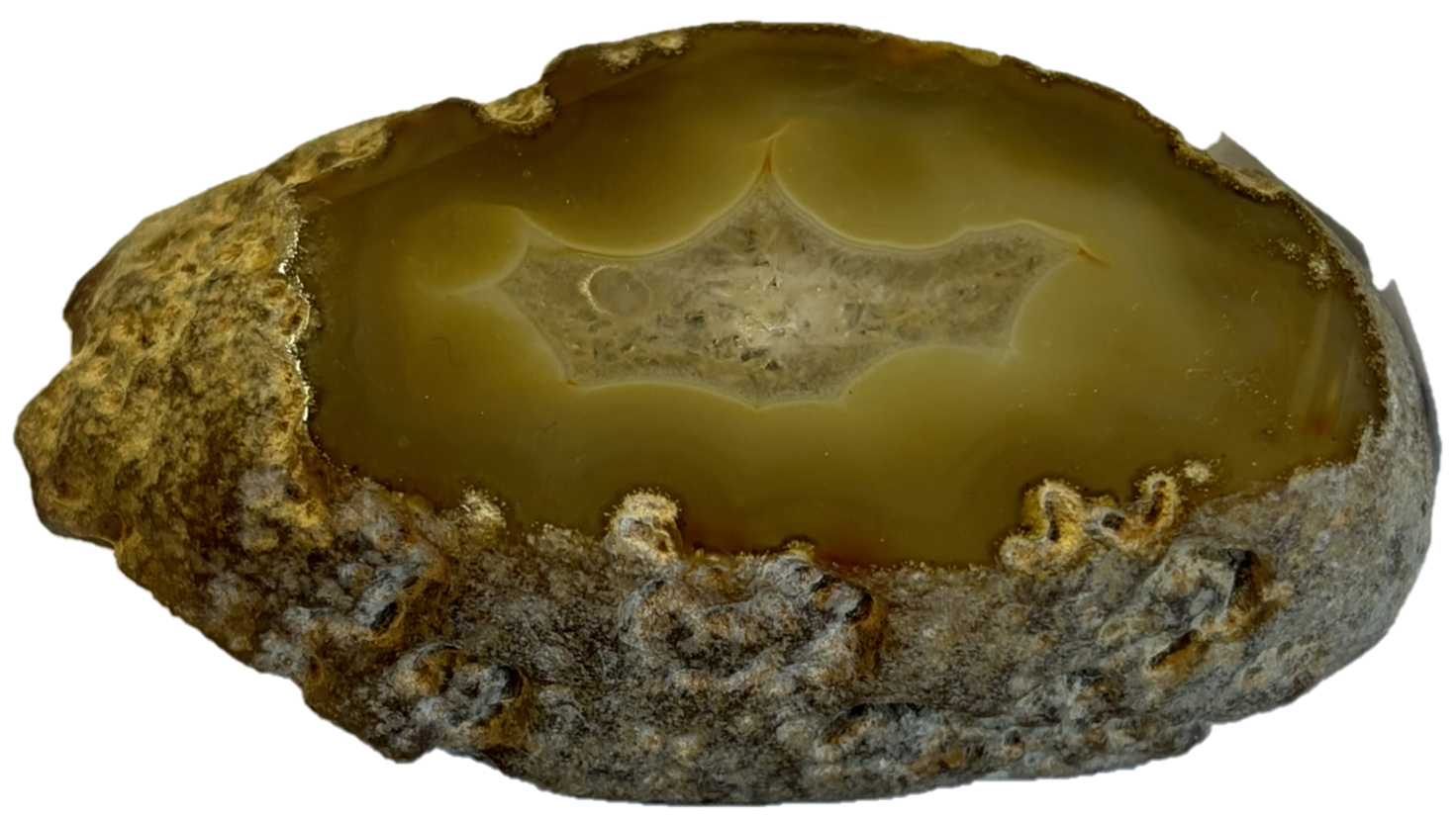 Brown agate slice sians emporium Brown agate slice