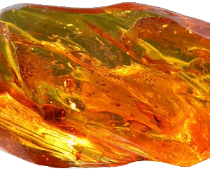 Amber specimen