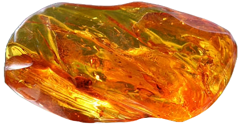 Amber Specimen - Siop Sian Amber Specimen