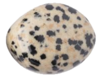Dalmatian jasper - Siop Sian Dalmatian jasper