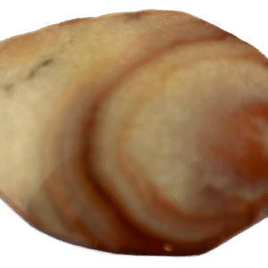 Dulcote agate g1