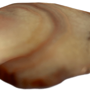 Dulcote agate g2