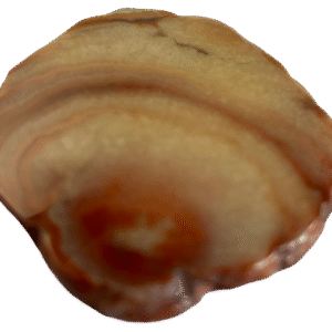 Dulcote agate g3