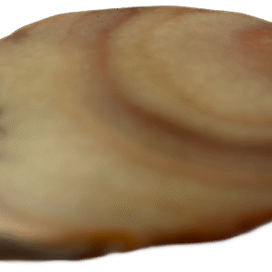 Dulcote agate g4
