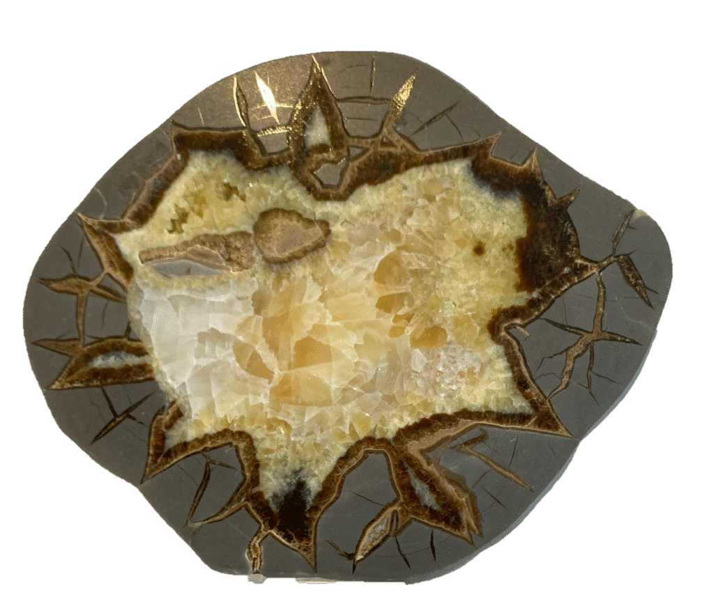 Septarian