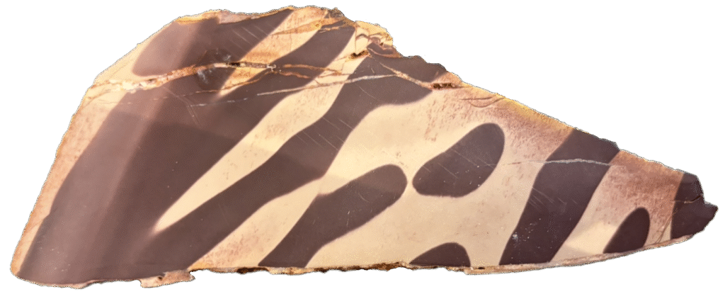 Zebra rock