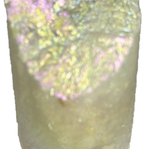 champagne aura champ a1
