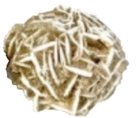 Desert rose