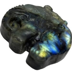 Polished natural labradorite freeform slab with blue and golden schiller sians emporium Natural polished labradorite stone slice showing golden bronze and cobalt blue schiller with dark rough natural edges against a white background