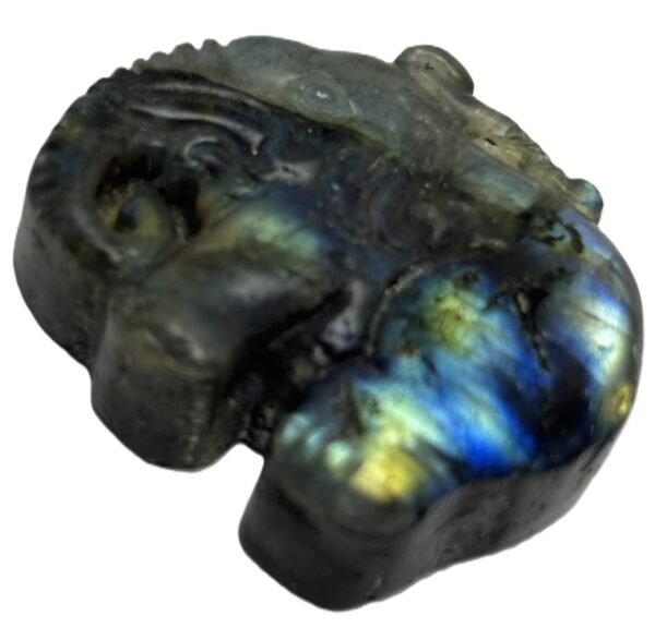 Polished natural labradorite freeform slab with blue and golden schiller sians emporium Natural polished labradorite stone slice showing golden bronze and cobalt blue schiller with dark rough natural edges against a white background