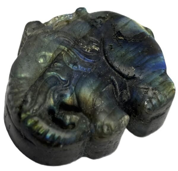Polished natural labradorite freeform slab with blue and golden schiller sians emporium Natural polished labradorite stone slice showing golden bronze and cobalt blue schiller with dark rough natural edges against a white background