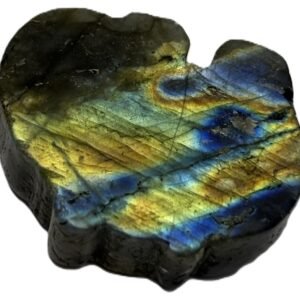 Polished natural labradorite freeform slab with blue and golden schiller sians emporium Natural polished labradorite stone slice showing golden bronze and cobalt blue schiller with dark rough natural edges against a white background