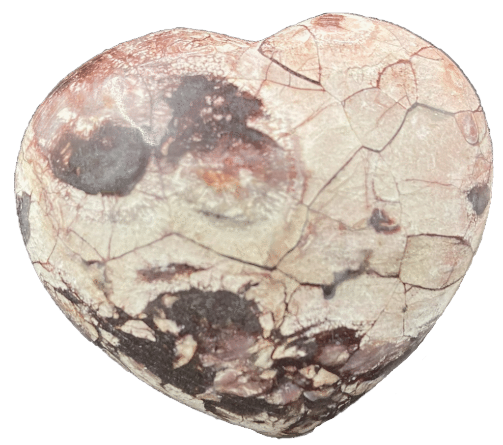 fish eye jasper specimen - Siop Sian fish eye jasper