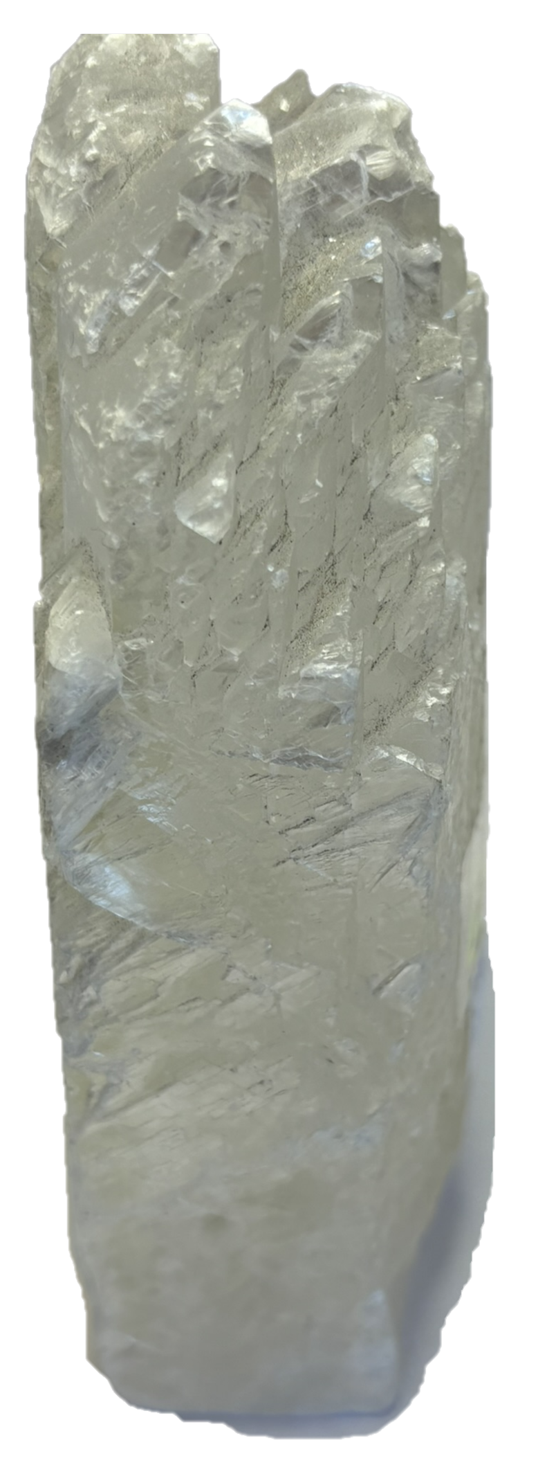 Fishtail selenite fishb 1 sians emporium Fishtail selenite fishb 1