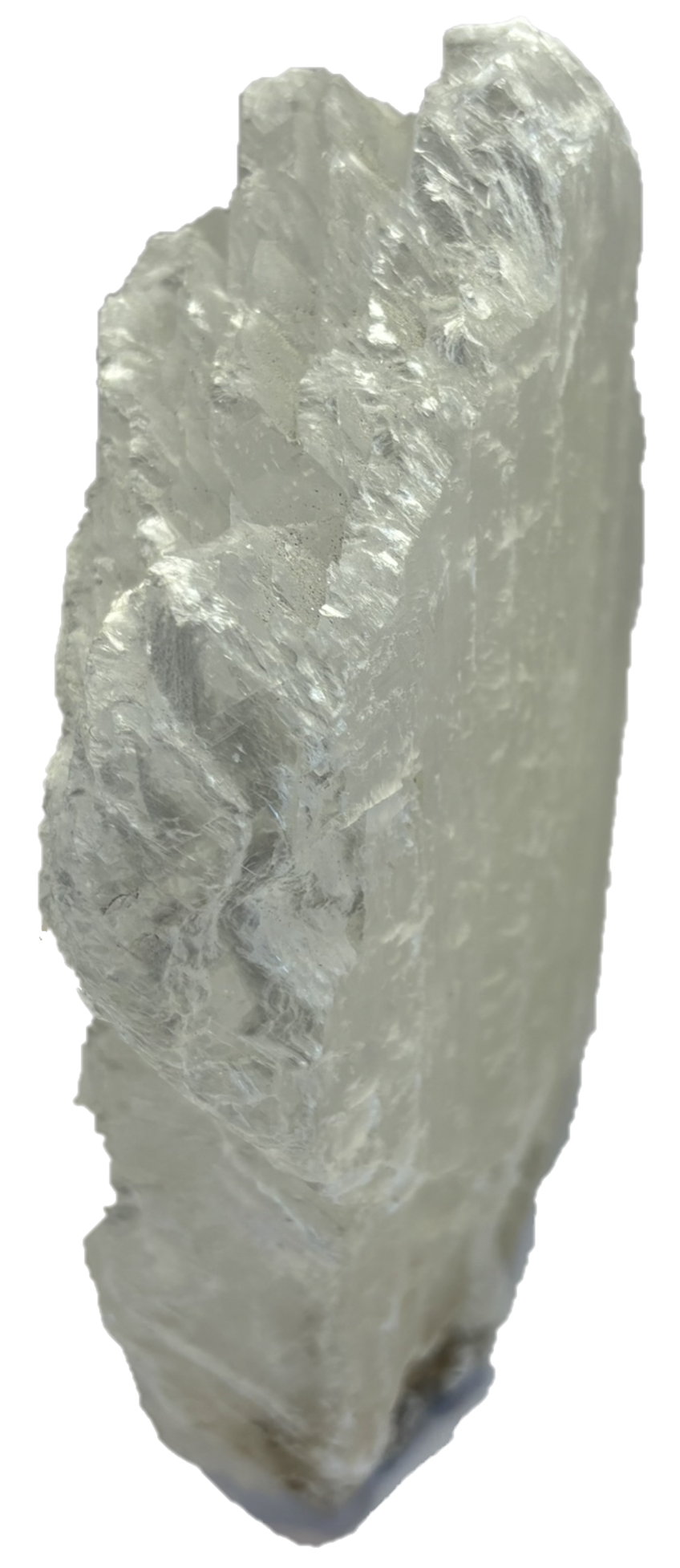 Fishtail selenite fishb 2 sians emporium Fishtail selenite fishb 2