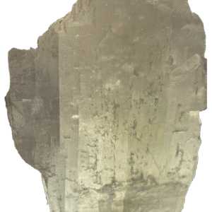 Fishtail selenite fishb 4 sians emporium Fishtail selenite fishb 4