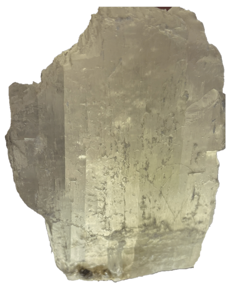 Fishtail selenite fishb 4