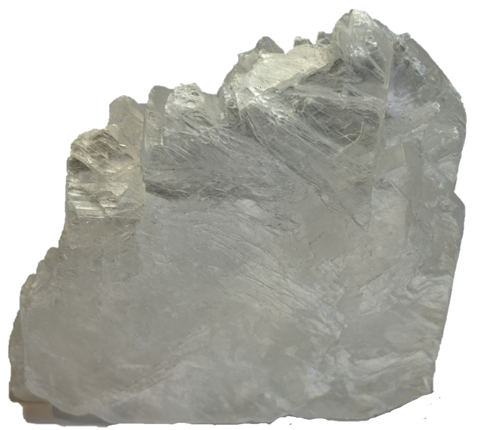 Fishtail selenite fishc 1 sians emporium Fishtail selenite fishc 1