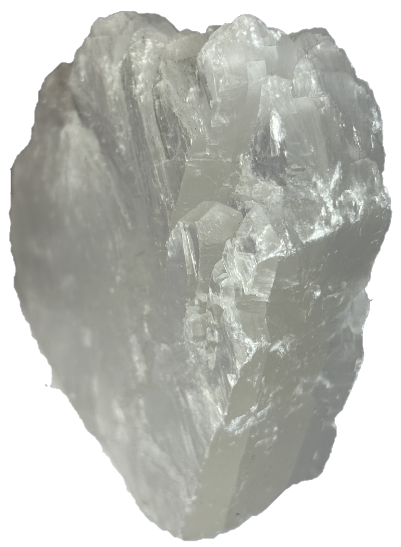 Fishtail selenite fishc 3 sians emporium Fishtail selenite fishc 3