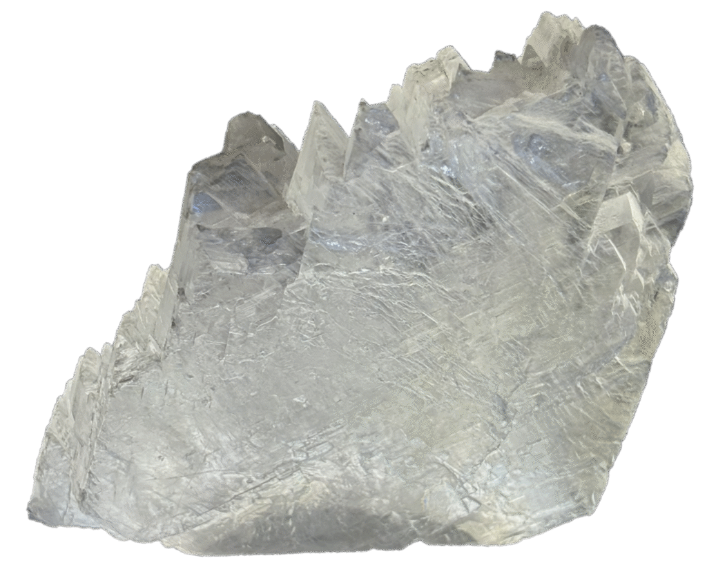 Fish tail selenite