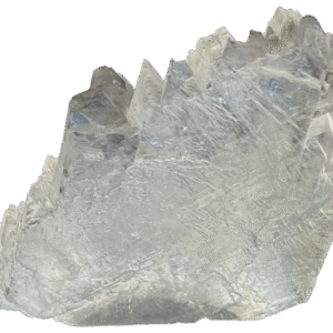Fishtail selenite fishc 5 sians emporium Fishtail selenite fishc 5