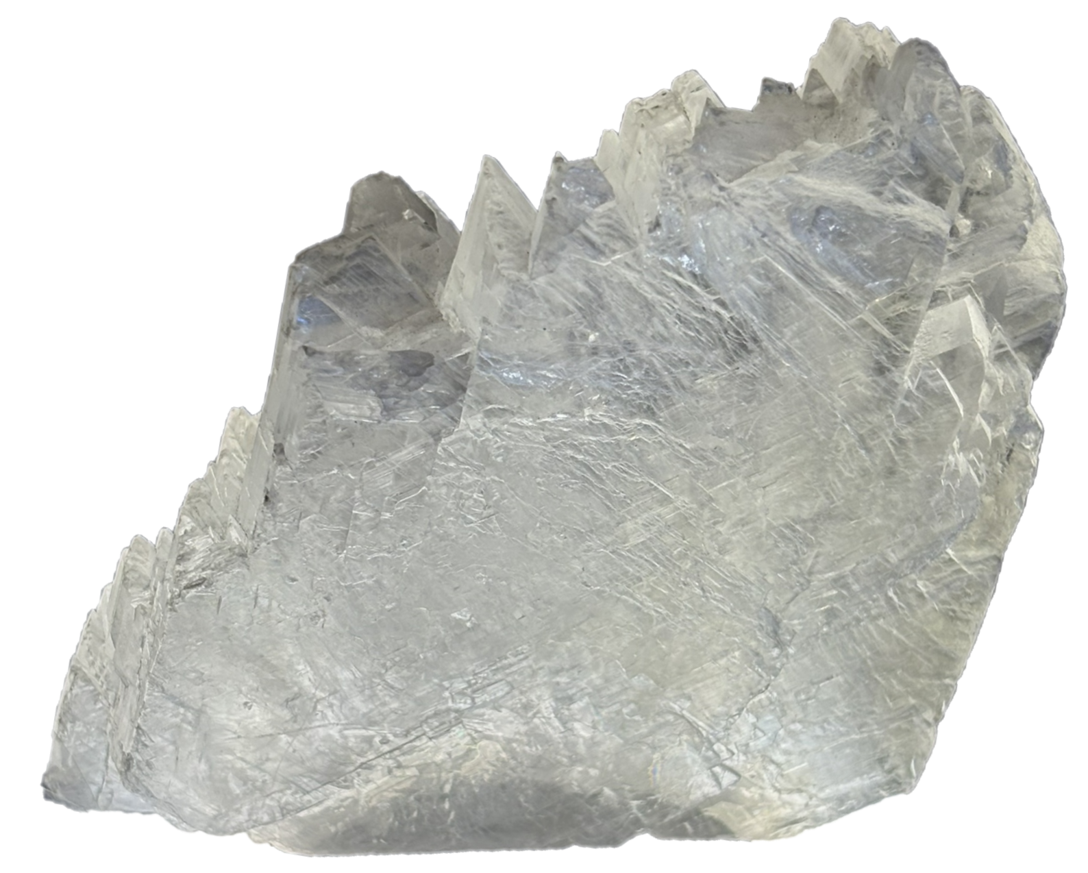 Fishtail selenite fishc 5 sians emporium Fishtail selenite fishc 5
