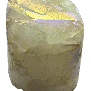 Champagne aura j3