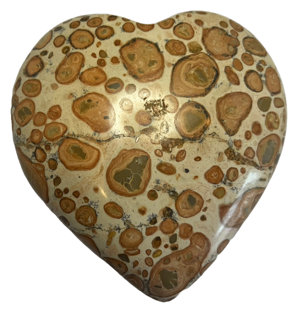 Leopard Skin Jasper b1