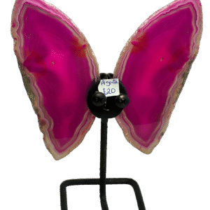 Pink large agate butterfly1