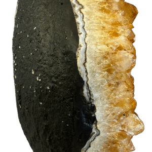 Citrine spec 1 5 sians emporium Citrine spec 1 5