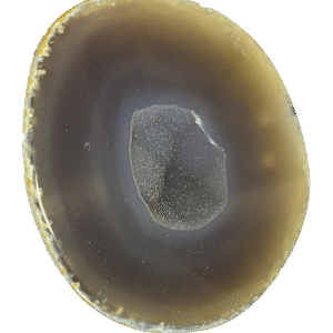 Half agate nodule on a stand 2 sians emporium Half agate nodule on a stand 2