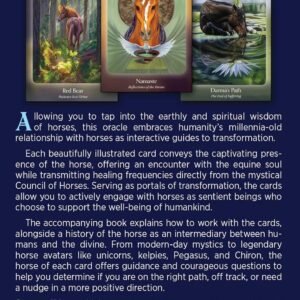 Council of horses b