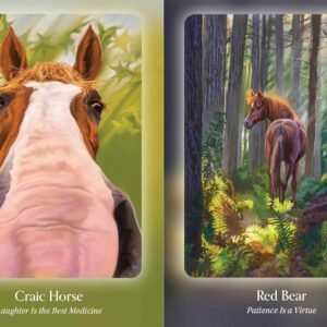 Council of horses k