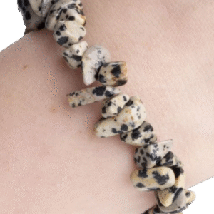 Dalmatian jasper bracelet 2 sians emporium Dalmatian jasper bracelet 2