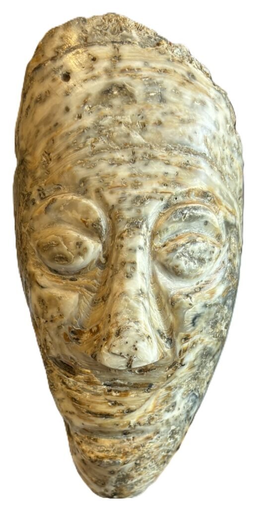 Oyster shell