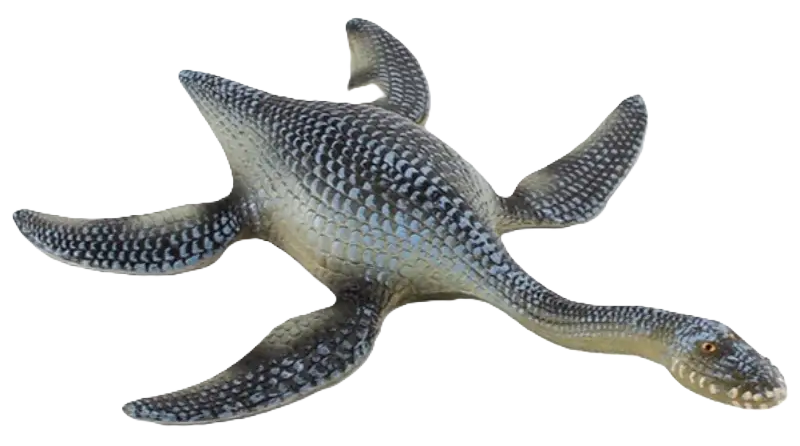 Plesiosaurs
