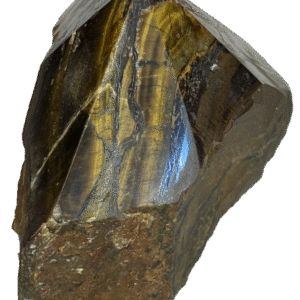 Tigers eye teye h4 sians emporium Tigers eye teye h4