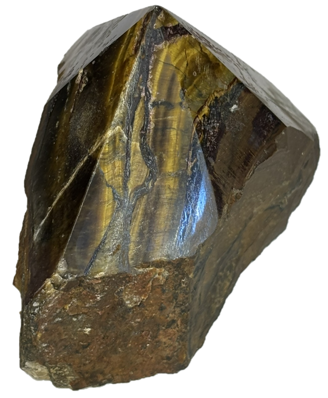 Tigers eye teye h4 sians emporium Tigers eye teye h4