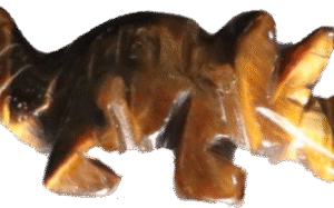 Tigers eye triceratops tri2