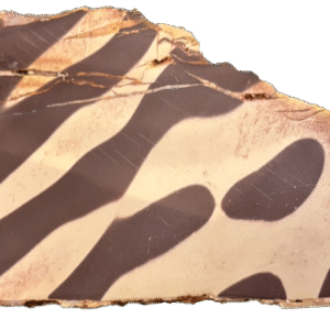 Zebra rock2